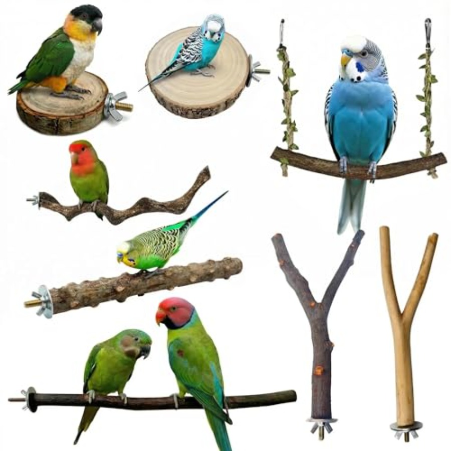 Health & Wellness Photos - 8 Stück Vogelsitzstangen aus Naturholz für