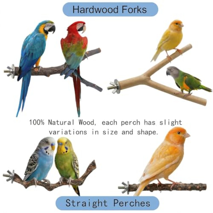 8 Stück Vogelsitzstangen aus N – Health & Wellness Photos Bewertung und Preis